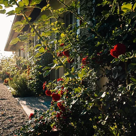 בית נופש Riedhof *