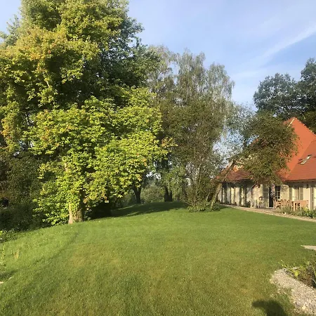 Riedhof *